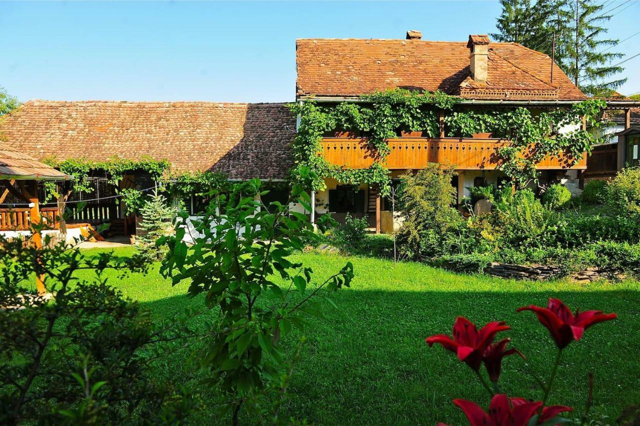 Transylvanian Country House Vetca 外观 照片
