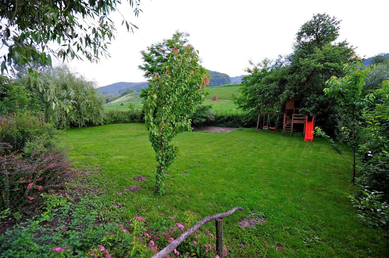 Transylvanian Country House Vetca 外观 照片